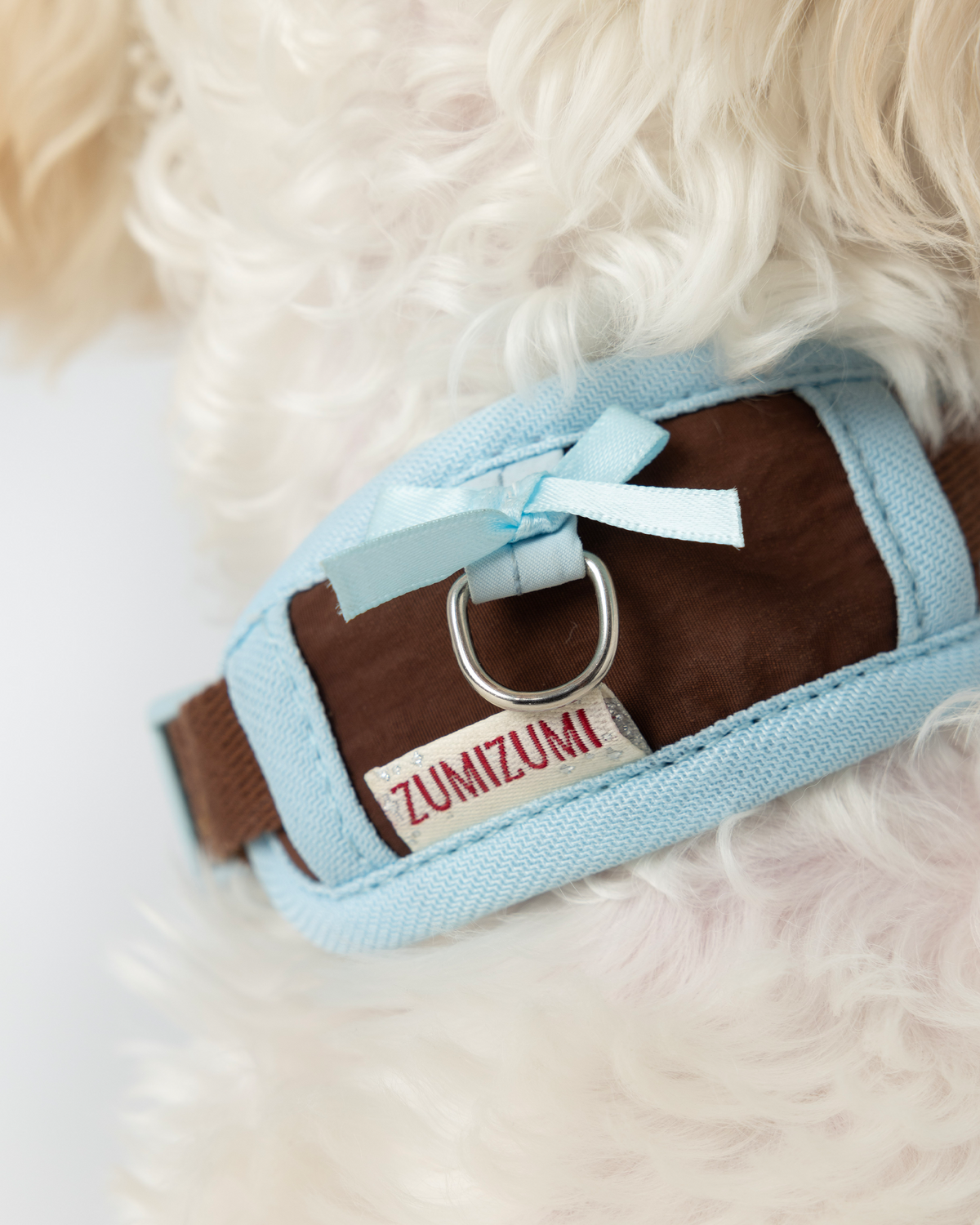 Chelsea Everyday Collar Brown/Blue – Zumizumi