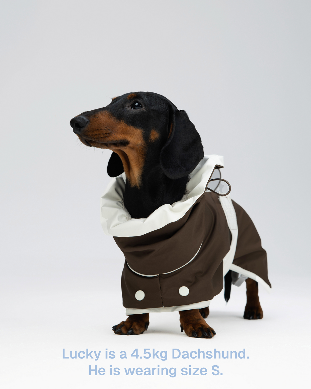 Heath Dog Raincoat – Zumizumi