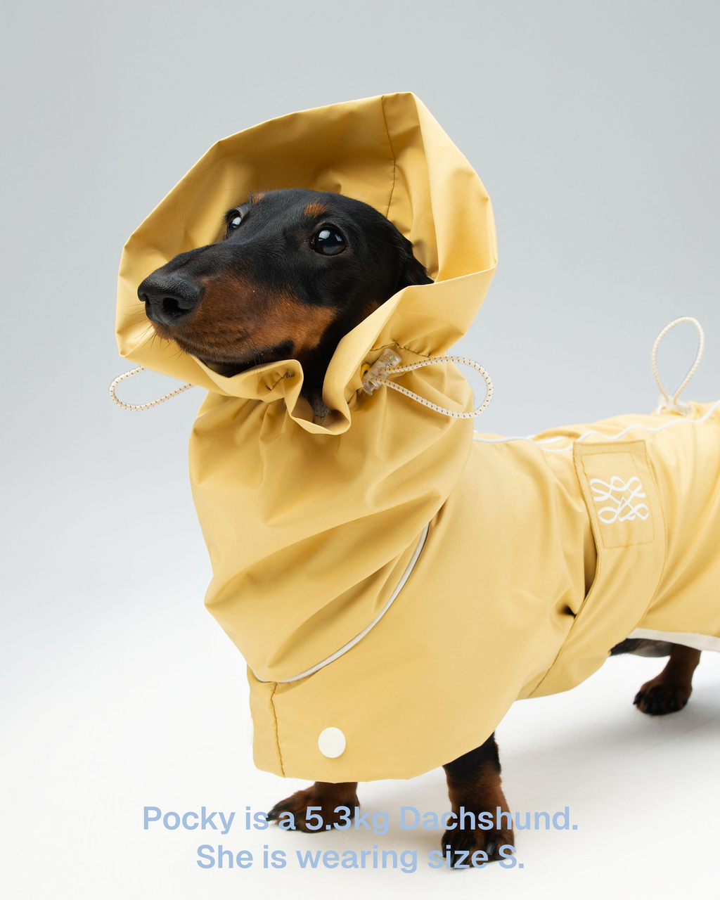 Heath Dog Raincoat – Zumizumi