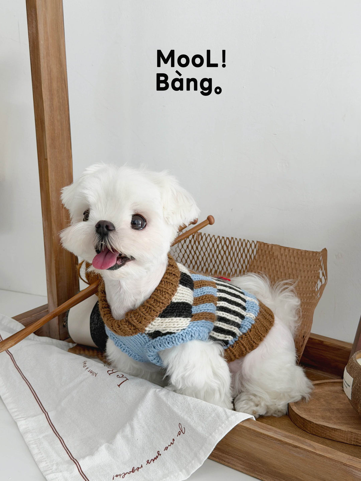 "Sea Salt Cannelés" Dog Sweater