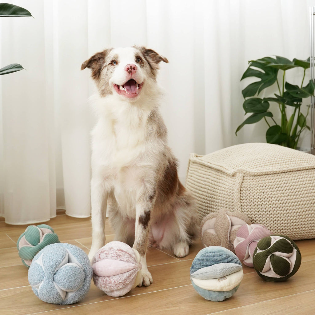Schnüffelspielzeug für Hunde MONTI Mint – Lambwolf Collective