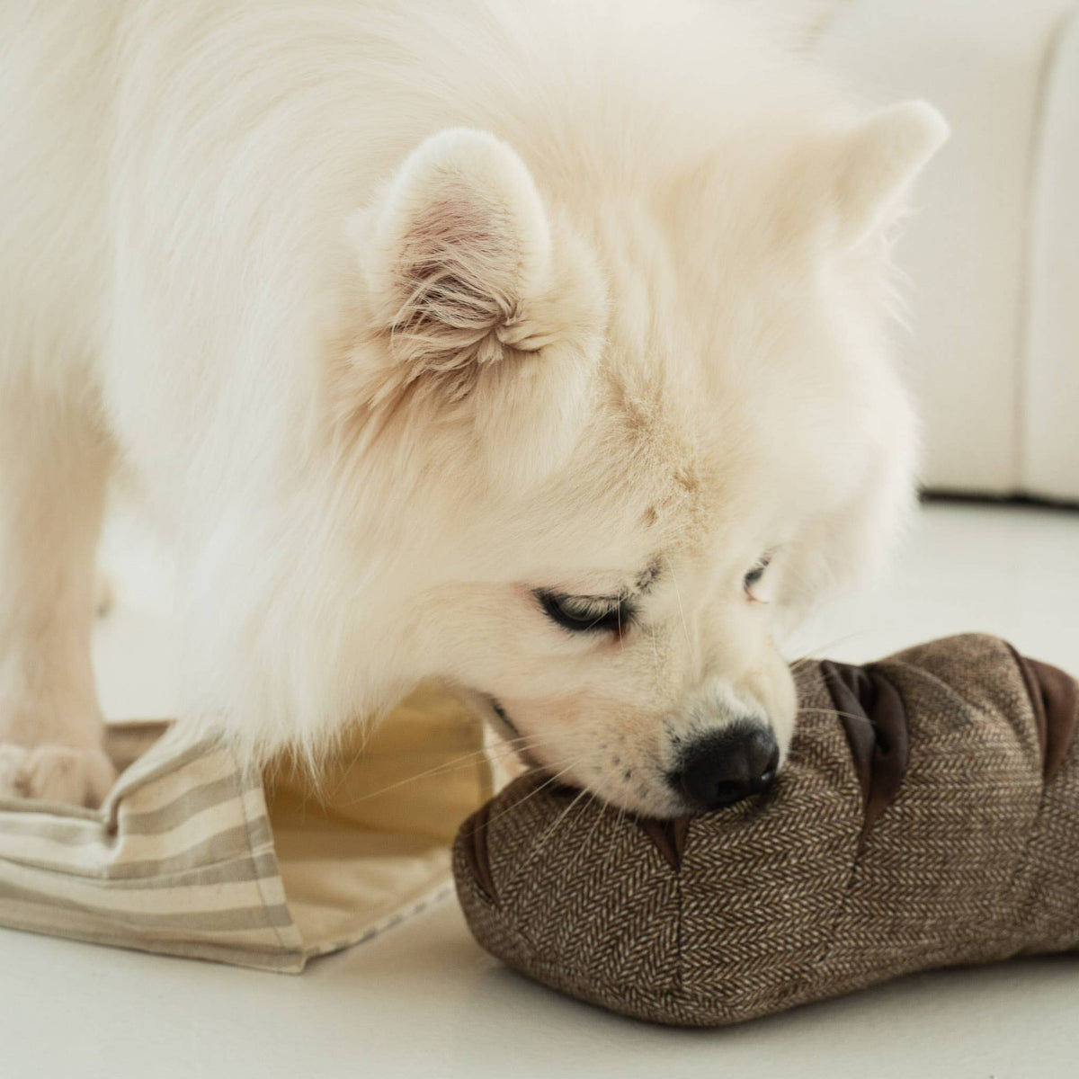 RYE - Educational Dog Toy