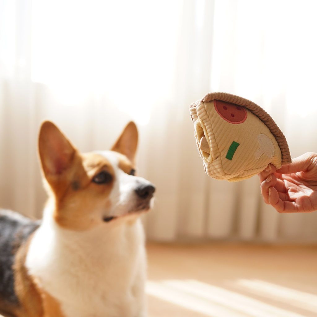Deep Dish Pizza Snuffle Dog Toy for Enrichment