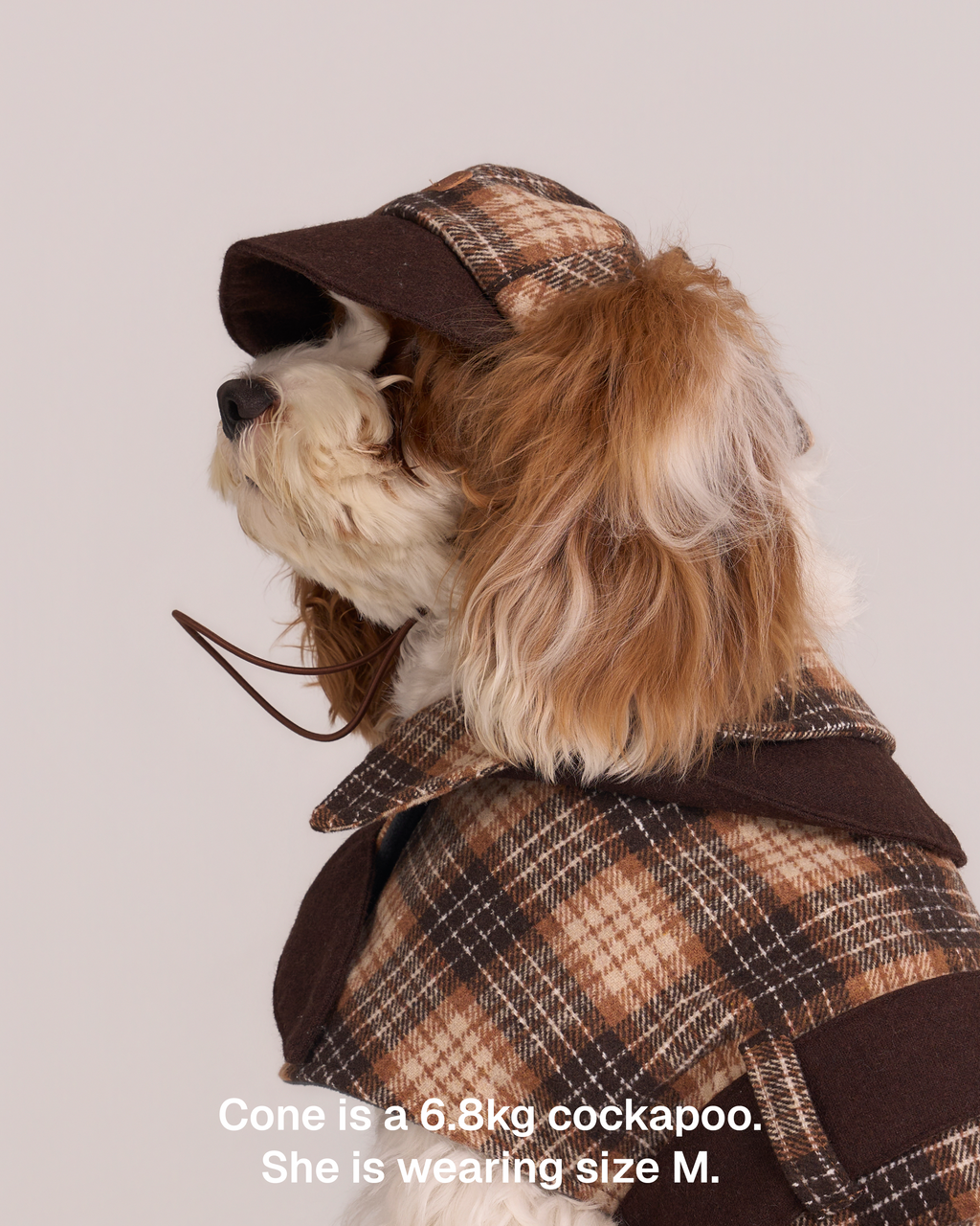 Hundemantel Sherlock