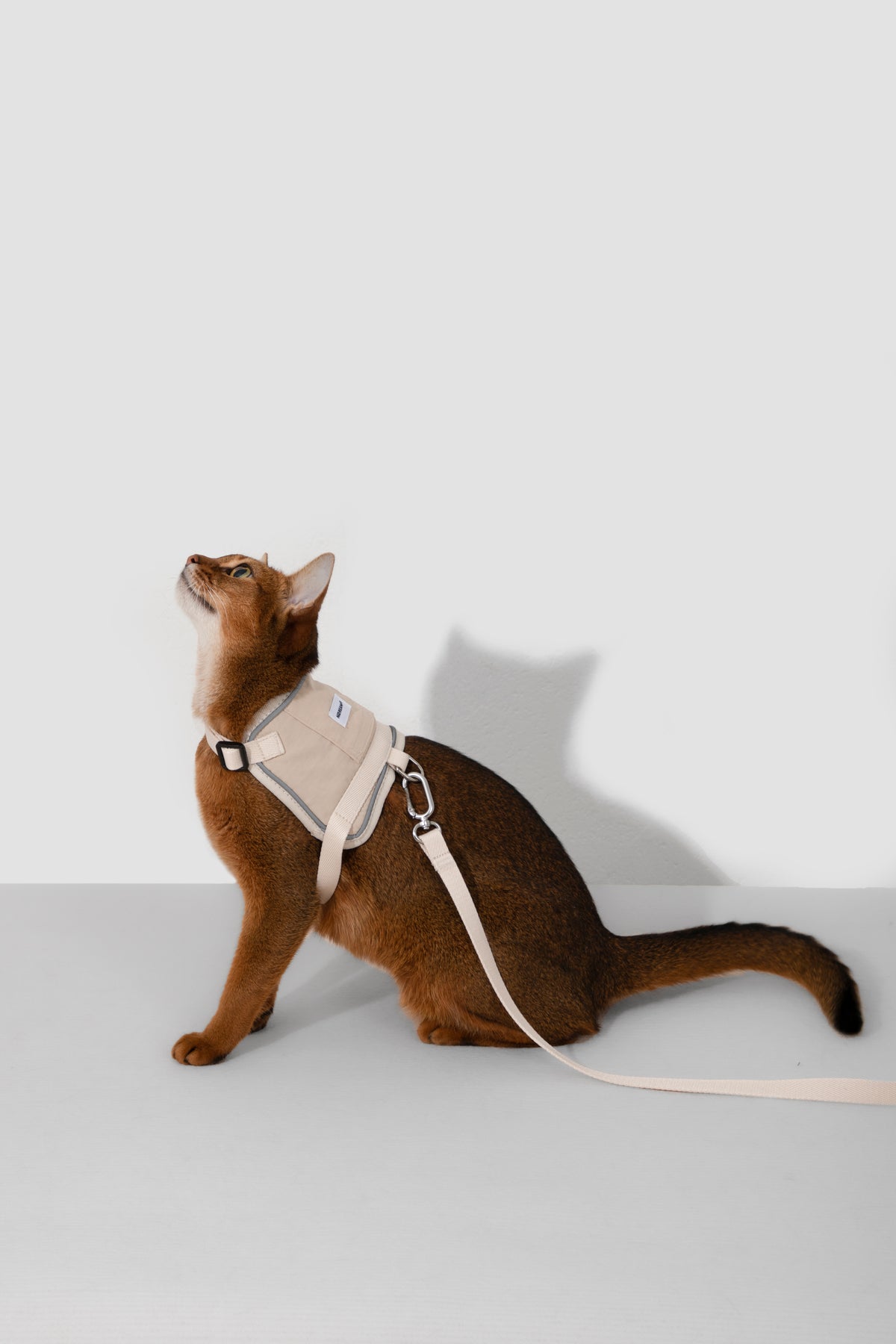 Cat Harness + Leash Set