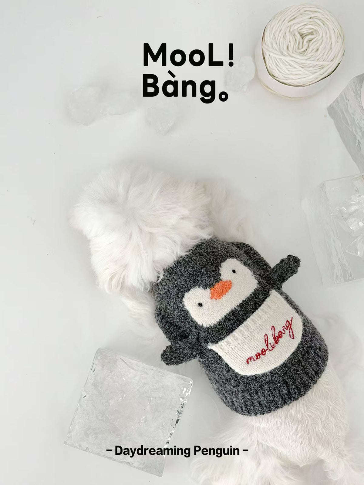 "Daydreaming Penguin" Dog Sweater