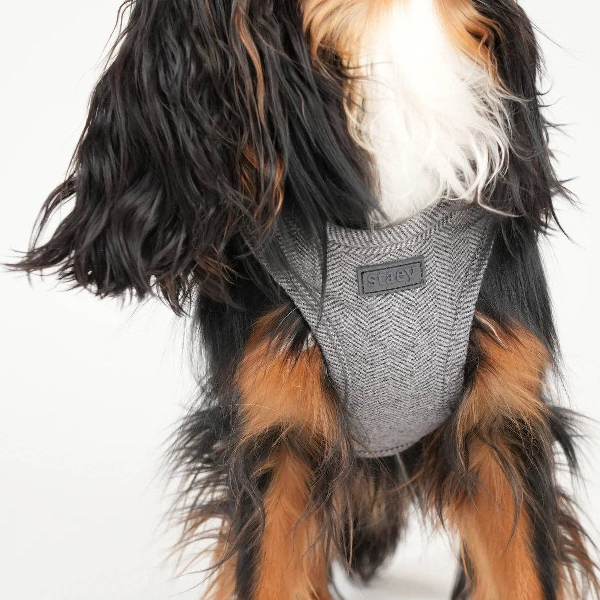 Saga Step-In Dog Harness | Powder Blue: M