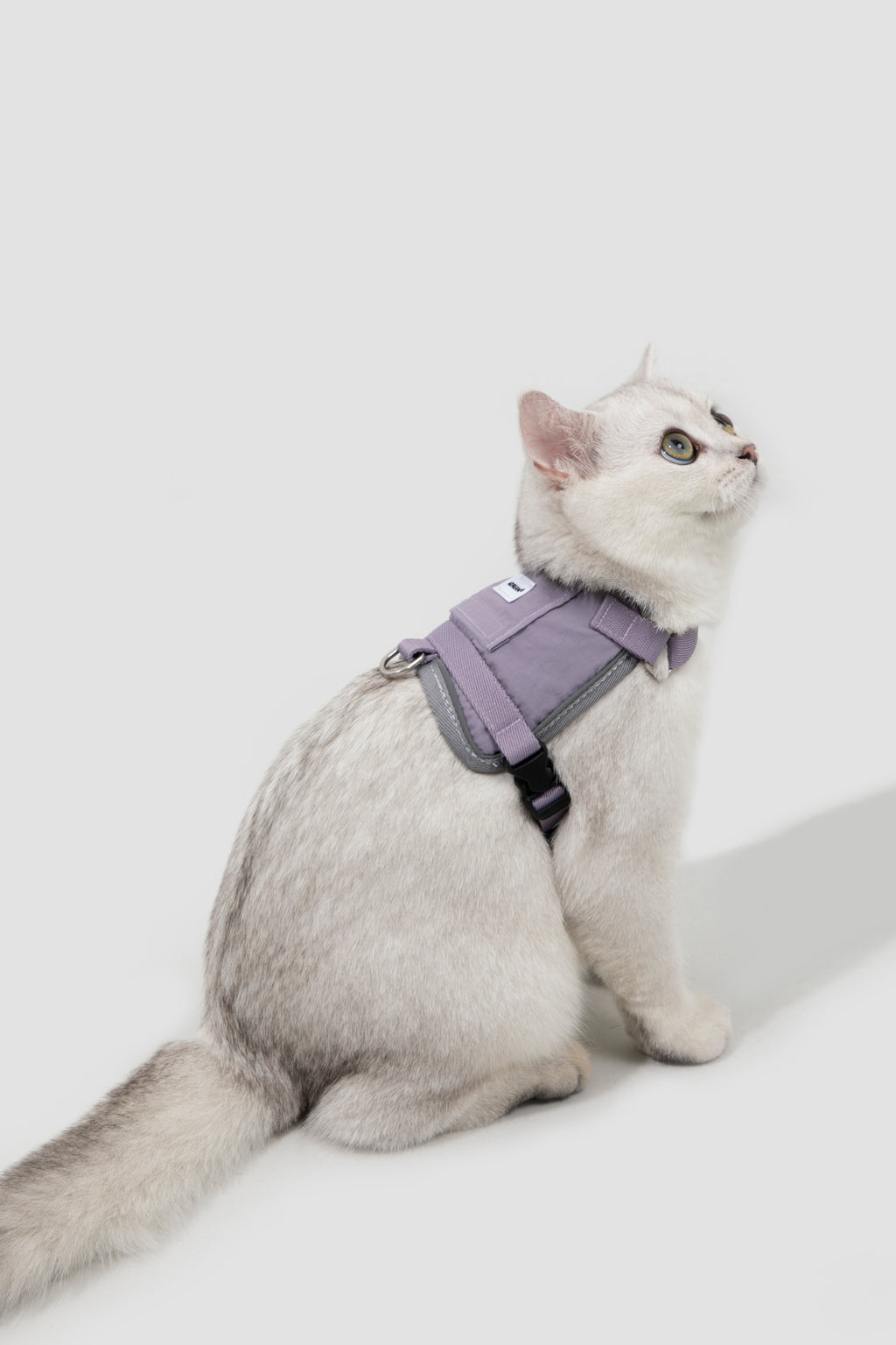 Cat Harness + Leash Set