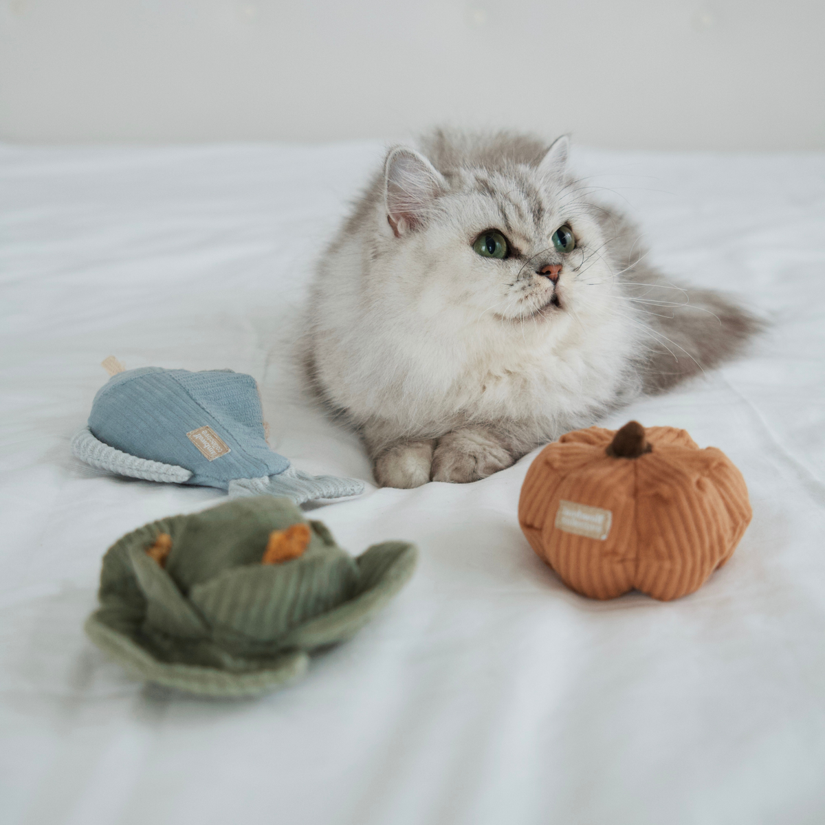 VEGETARIAN KITTY SET
