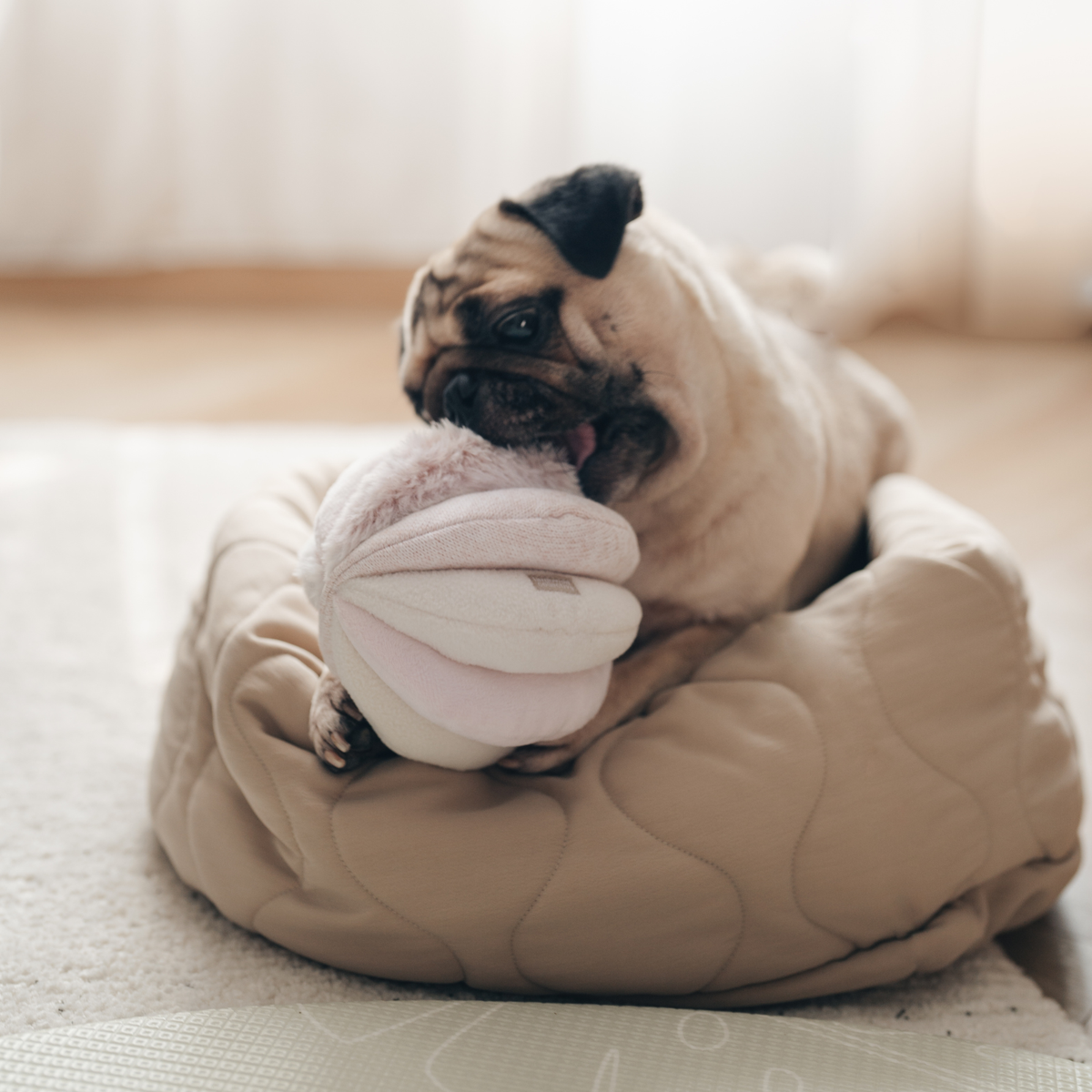 Dog Snuffle Toy TOTO Pink – Lambwolf Collective