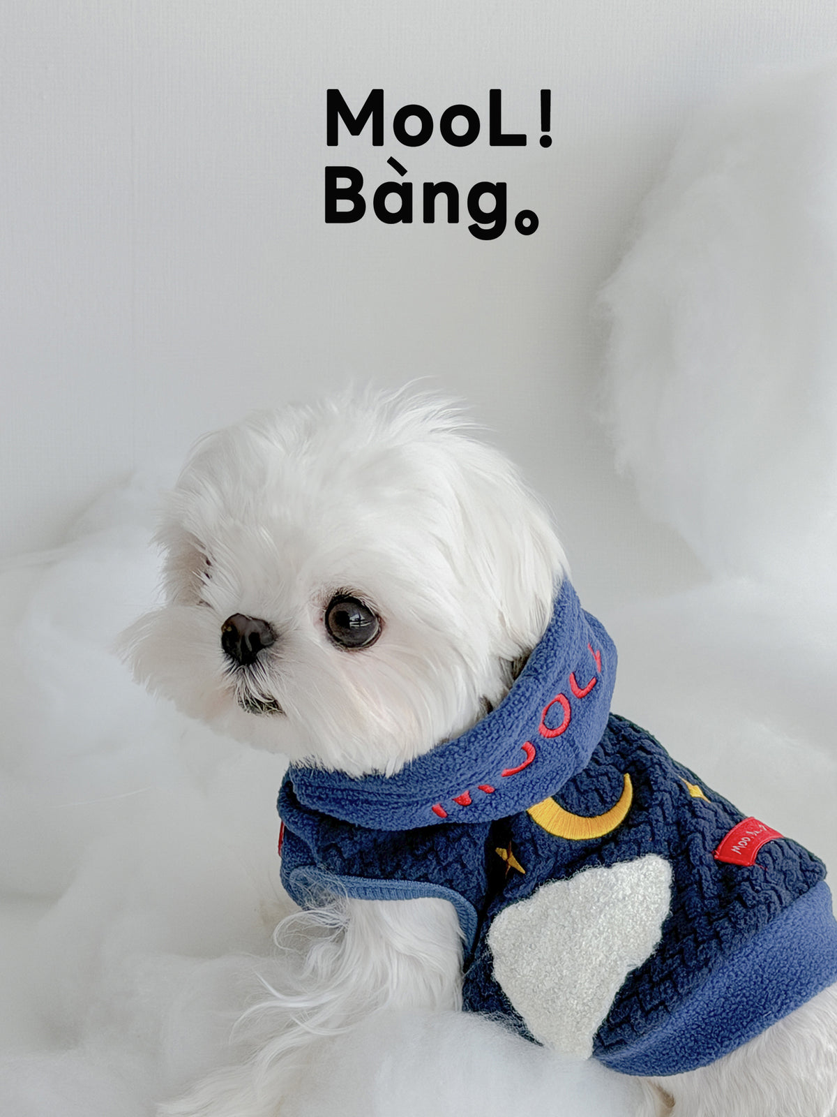 "Night Sky" Dog Hoodie