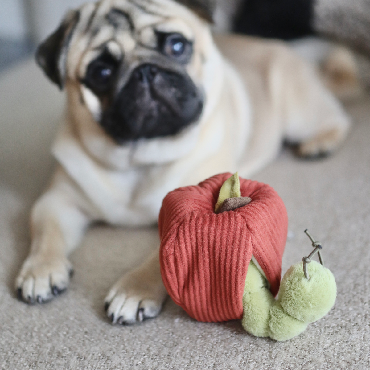 Gioco di arricchimento per cani APPLE – Lambwolf Collective