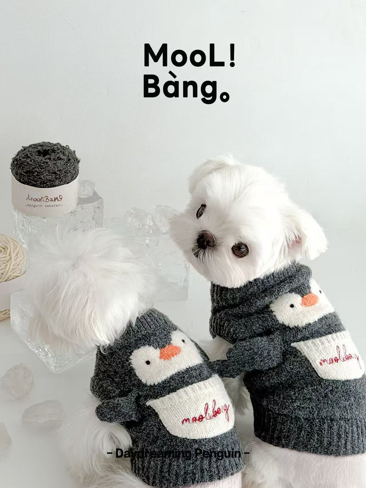 "Daydreaming Penguin" Dog Sweater