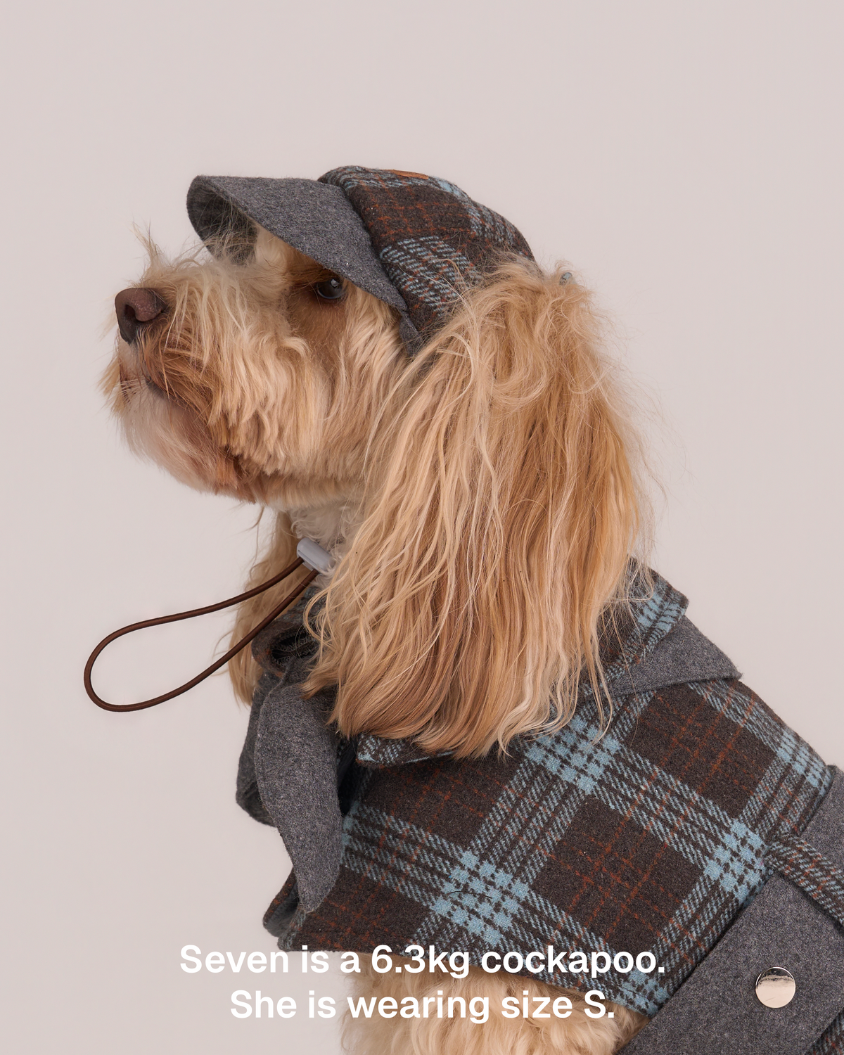 Hundemantel Sherlock