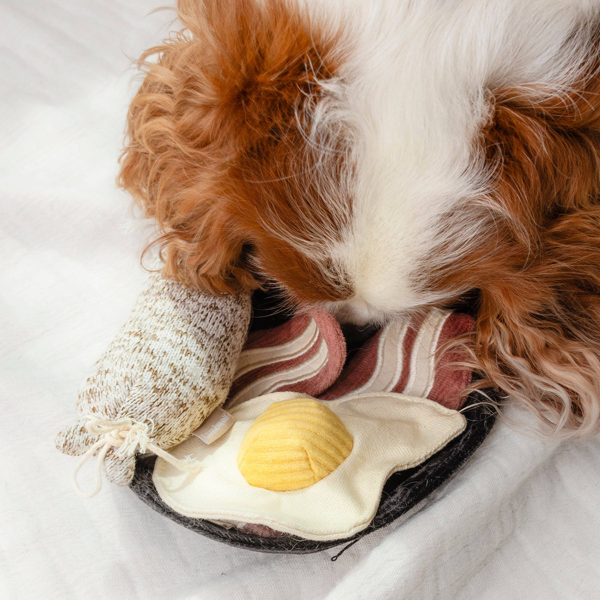 Bfast Set // ANREICHENDES HUNDESPIELZEUG