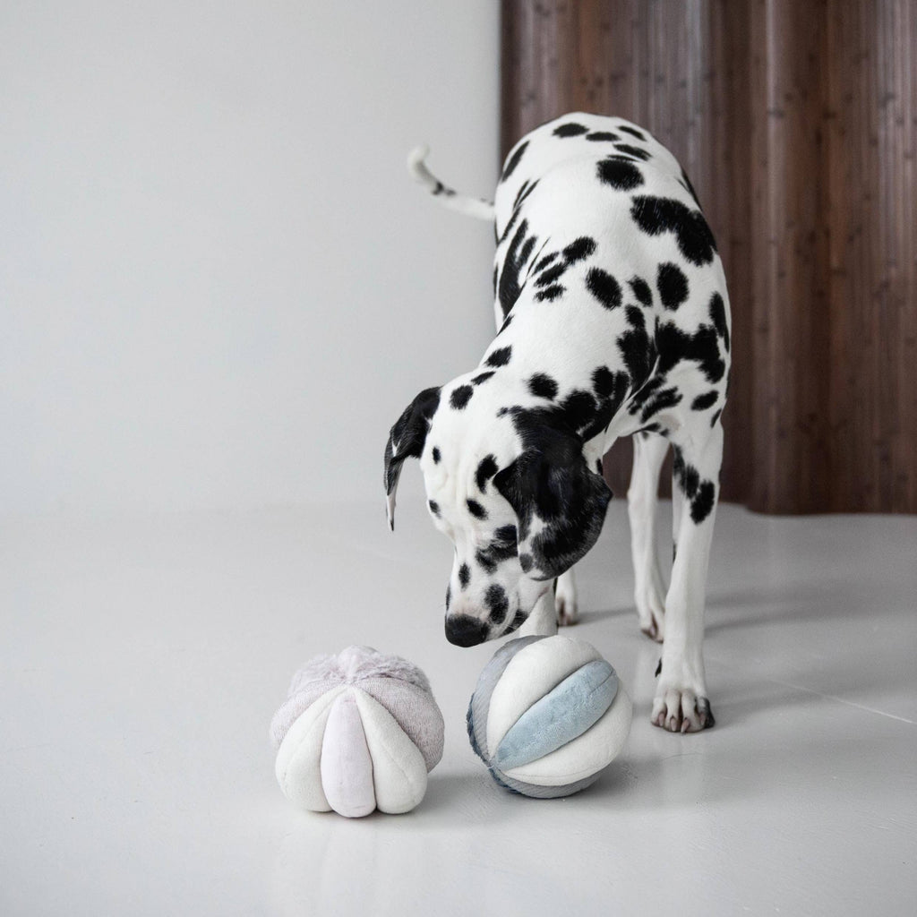 Beschäftigungsspielzeug für Hunde TOTO Rosa – Lambwolf Collective