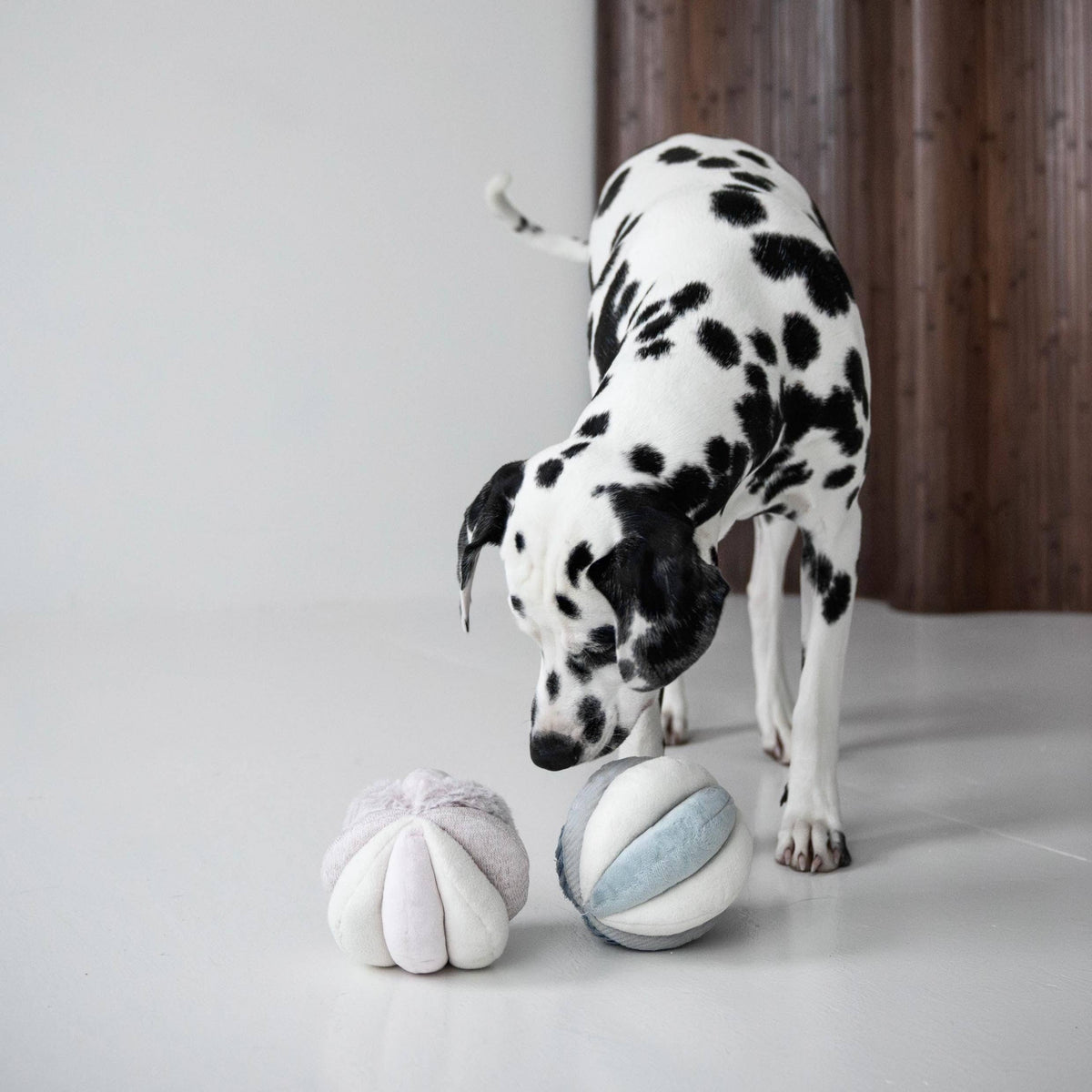 Beschäftigungsspielzeug für Hunde TOTO Rosa – Lambwolf Collective