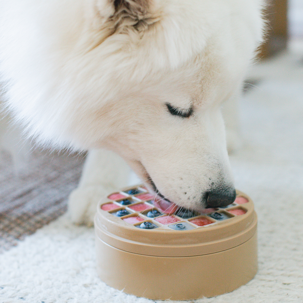 3-IN-1 BENTO: Lick Mat and Slow Feeder Combined: DUNE