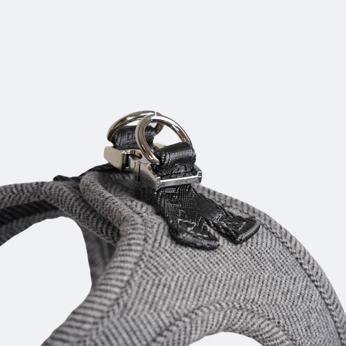 Saga Step-In Dog Harness | Powder Blue: M