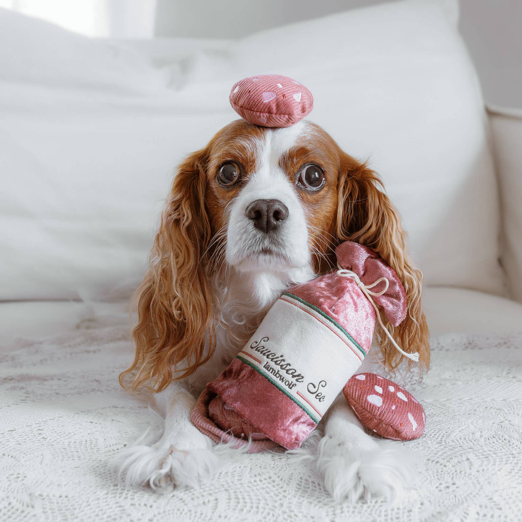 Dog Enrichment Toy SAUCISSON SEC – Lambwolf Collective
