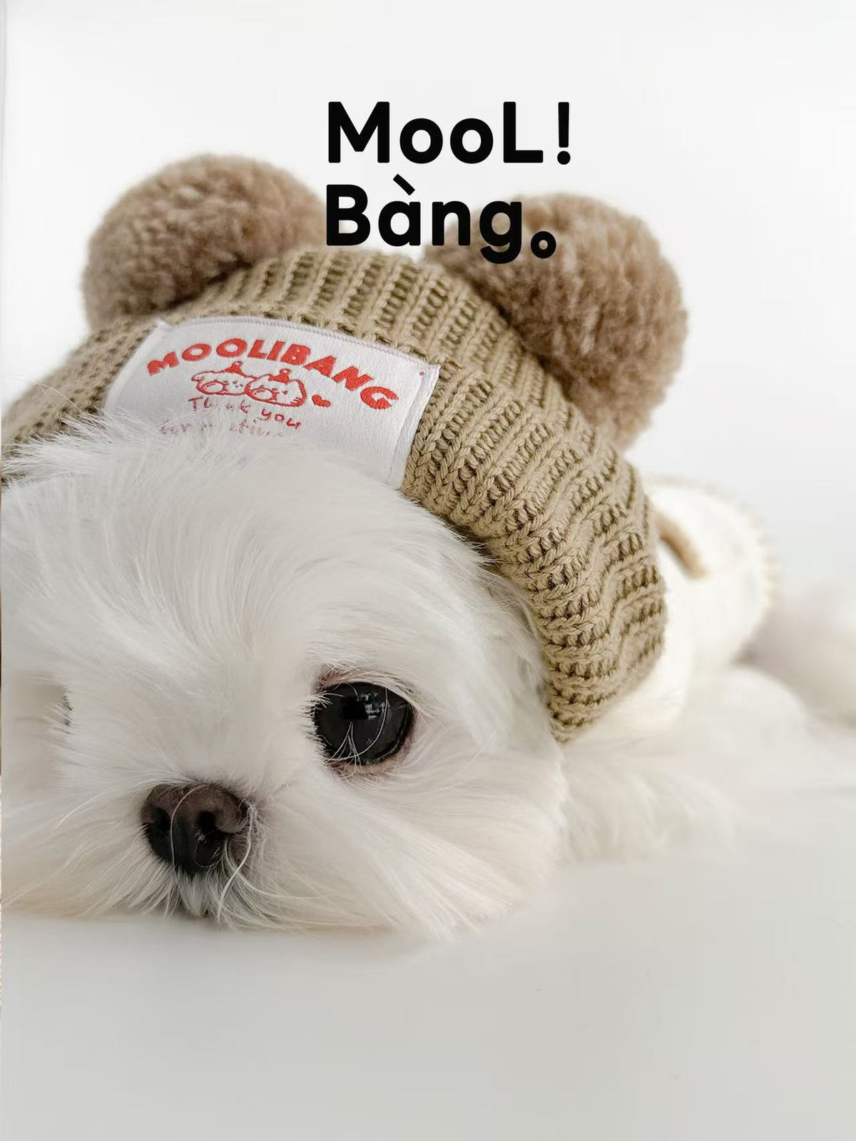 Rilakkuma Bear Dog Hoodie