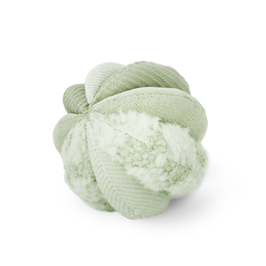 Dog Enrichment Toy TOTO Small Green – Lambwolf Collective