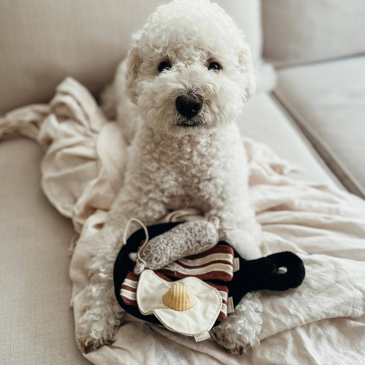 Bfast Set // ENRICHMENT DOG TOY
