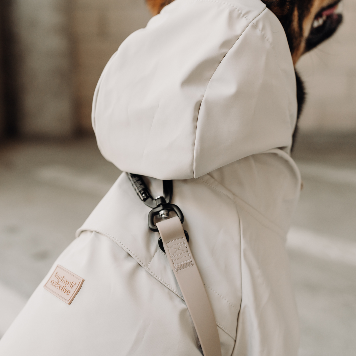 BRIGHTON foldable waterproof: XL