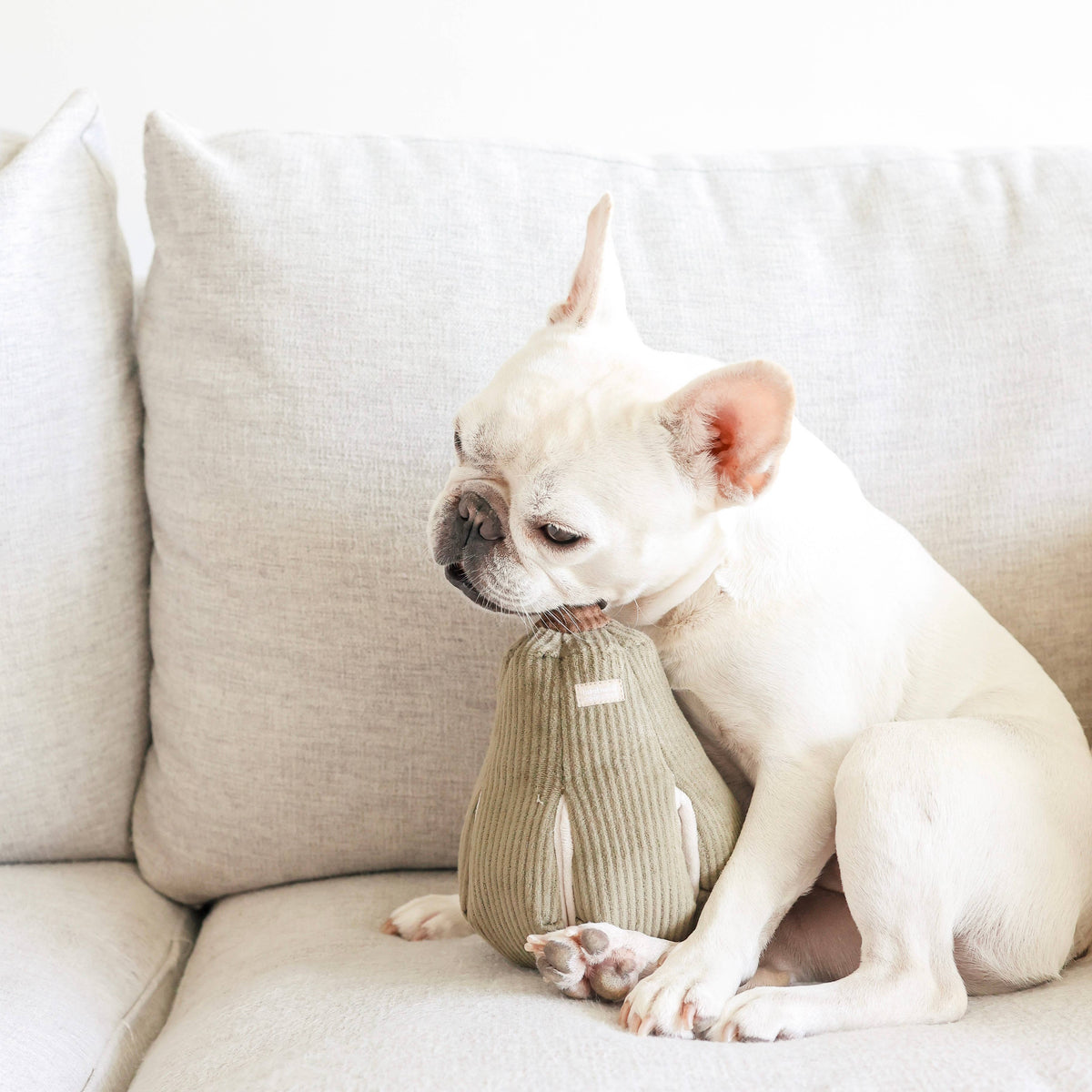 Dog Enrichment Toy BUTTERNUT, Size L – Lambwolf Collective