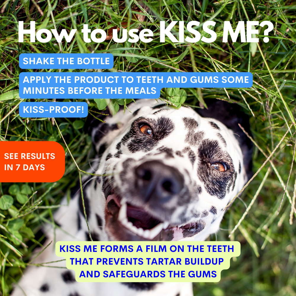 Kiss Me Dog Dental Spray 100 ml – JAMPY
