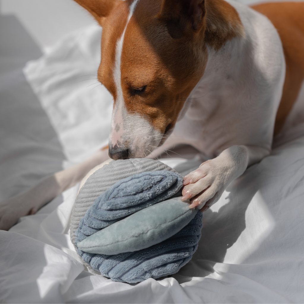 Beschäftigungsspielzeug für Hunde TOTO Rosa – Lambwolf Collective