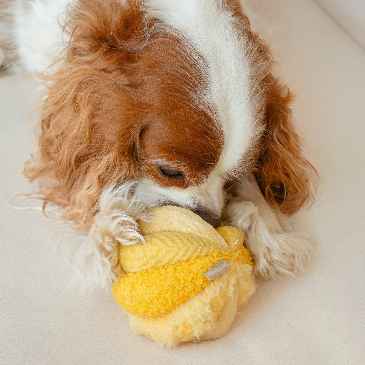 Dog Enrichment Toy TOTO Small Green – Lambwolf Collective