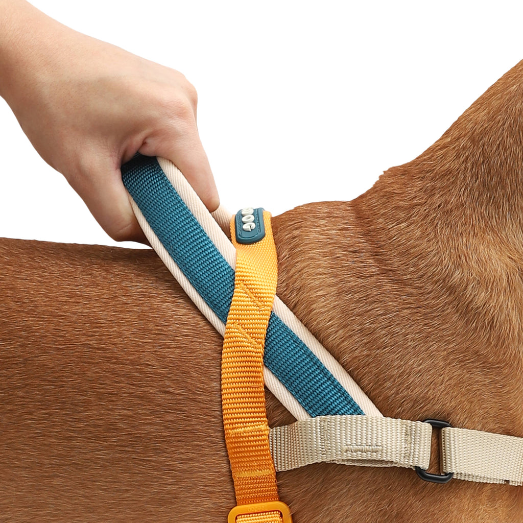 Softer-Walk Voyage Norwegian Harness