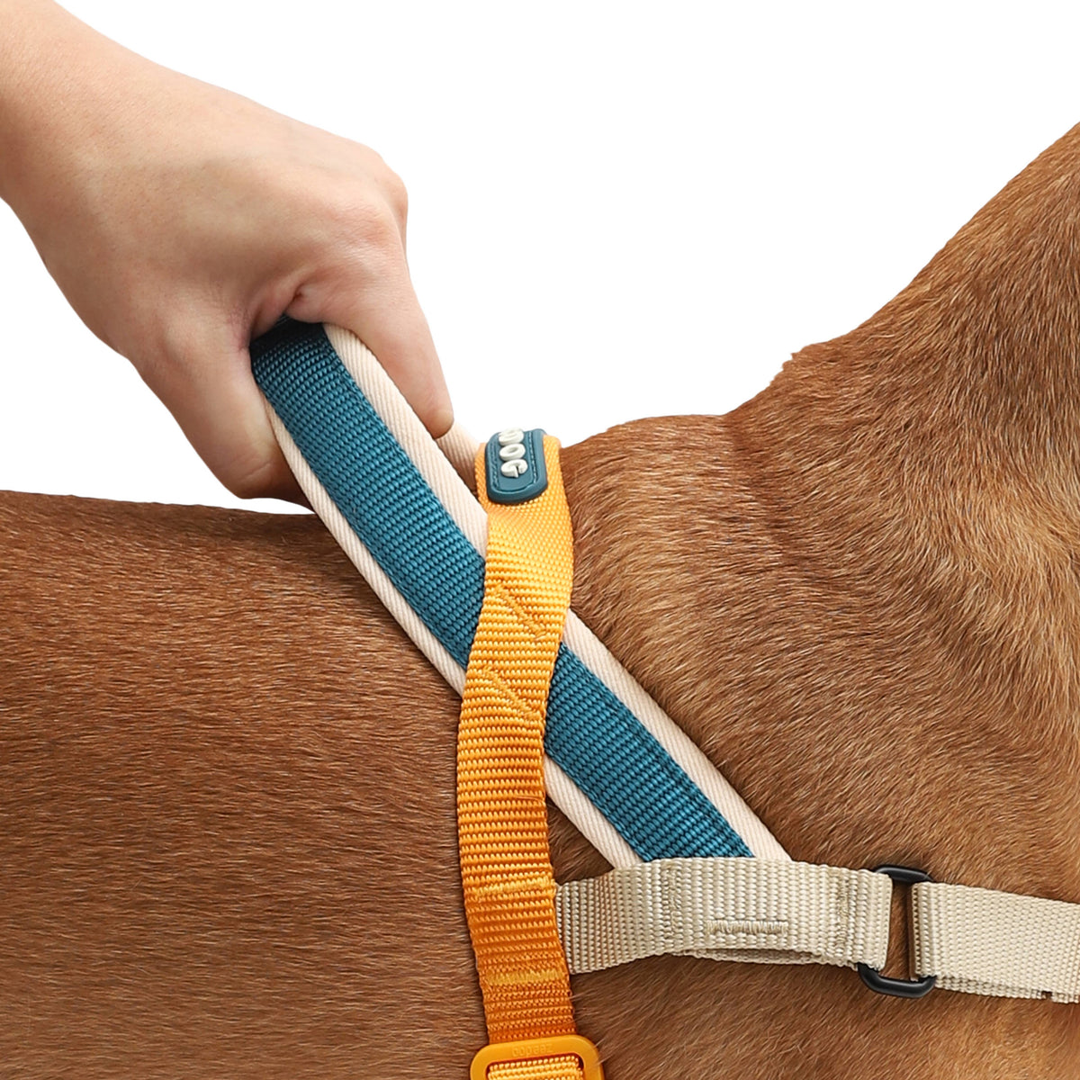 Softer-Walk Voyage Norwegian Harness