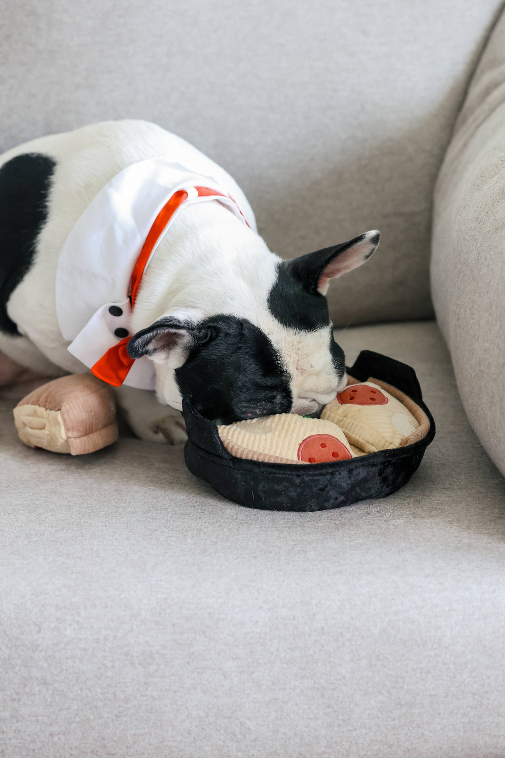 Deep Dish Pizza Snuffle Dog Toy for Enrichment