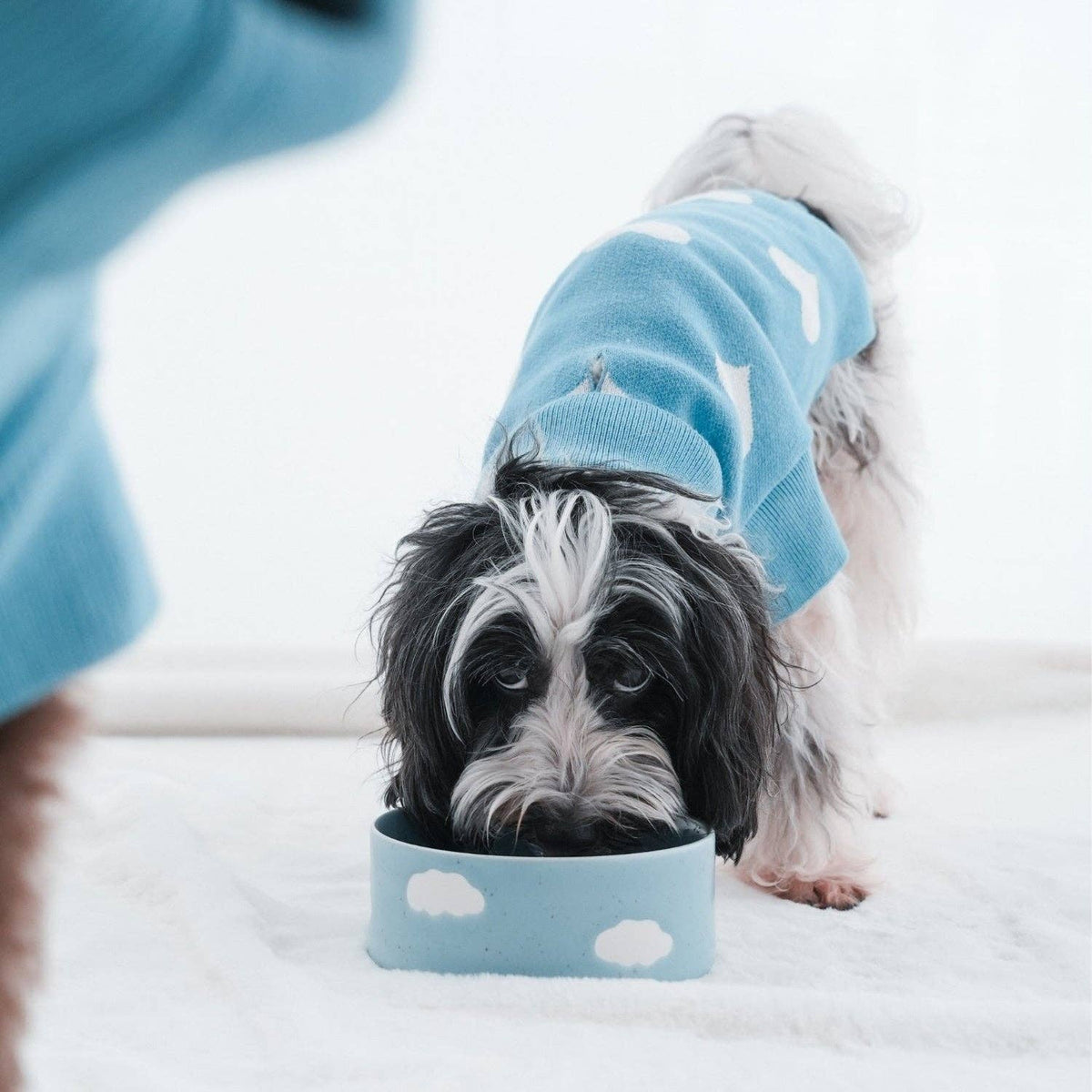 Set of 2 Pet Bowls Cloud 14 cm – Egg Back Home