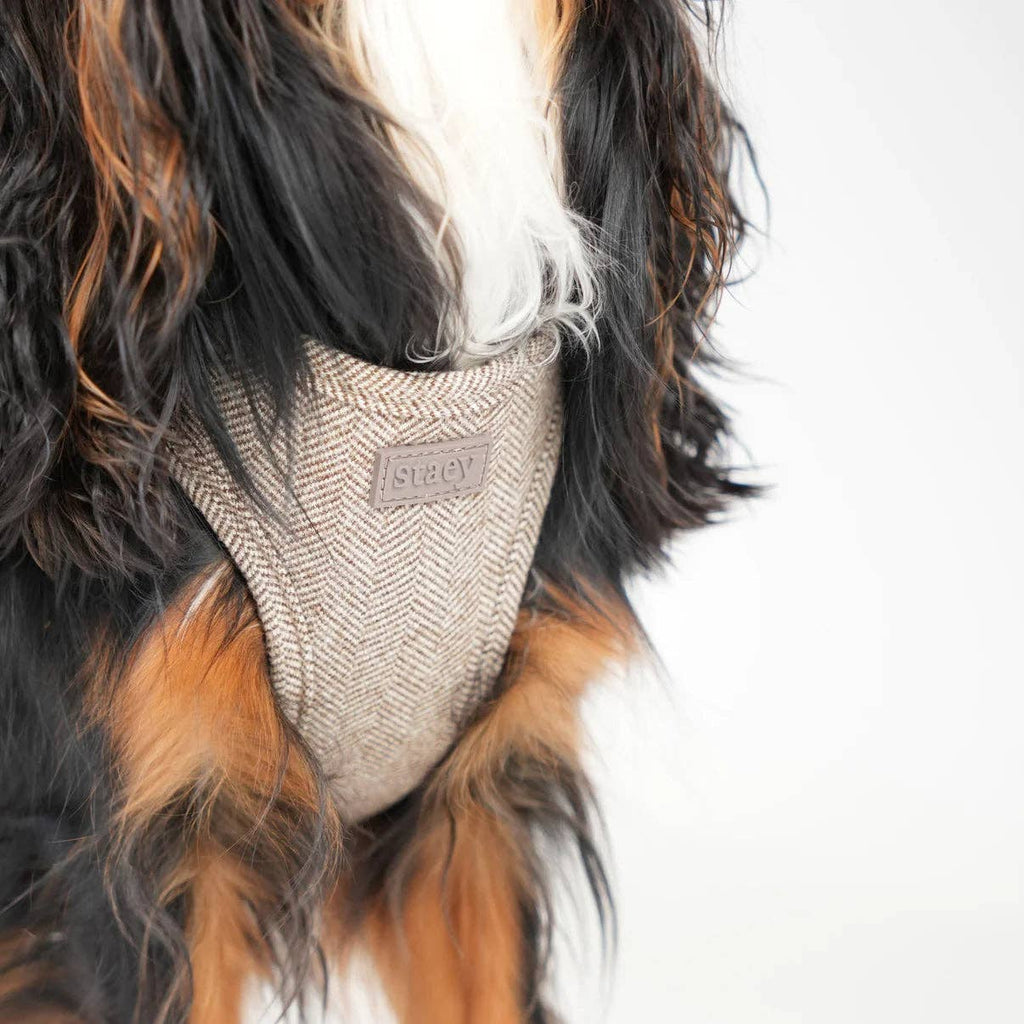 Pettorina Step-In Saga Mocca – Staey