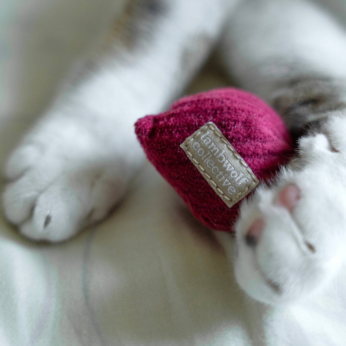 Catnip Toy KITTY RADISH Beetroot – Lambwolf Collective
