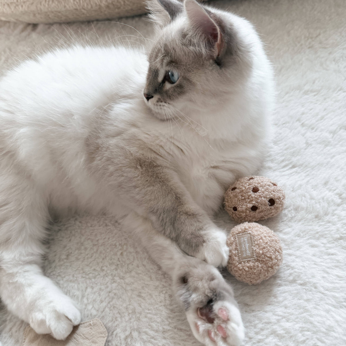KITTEN'S TEA TIME