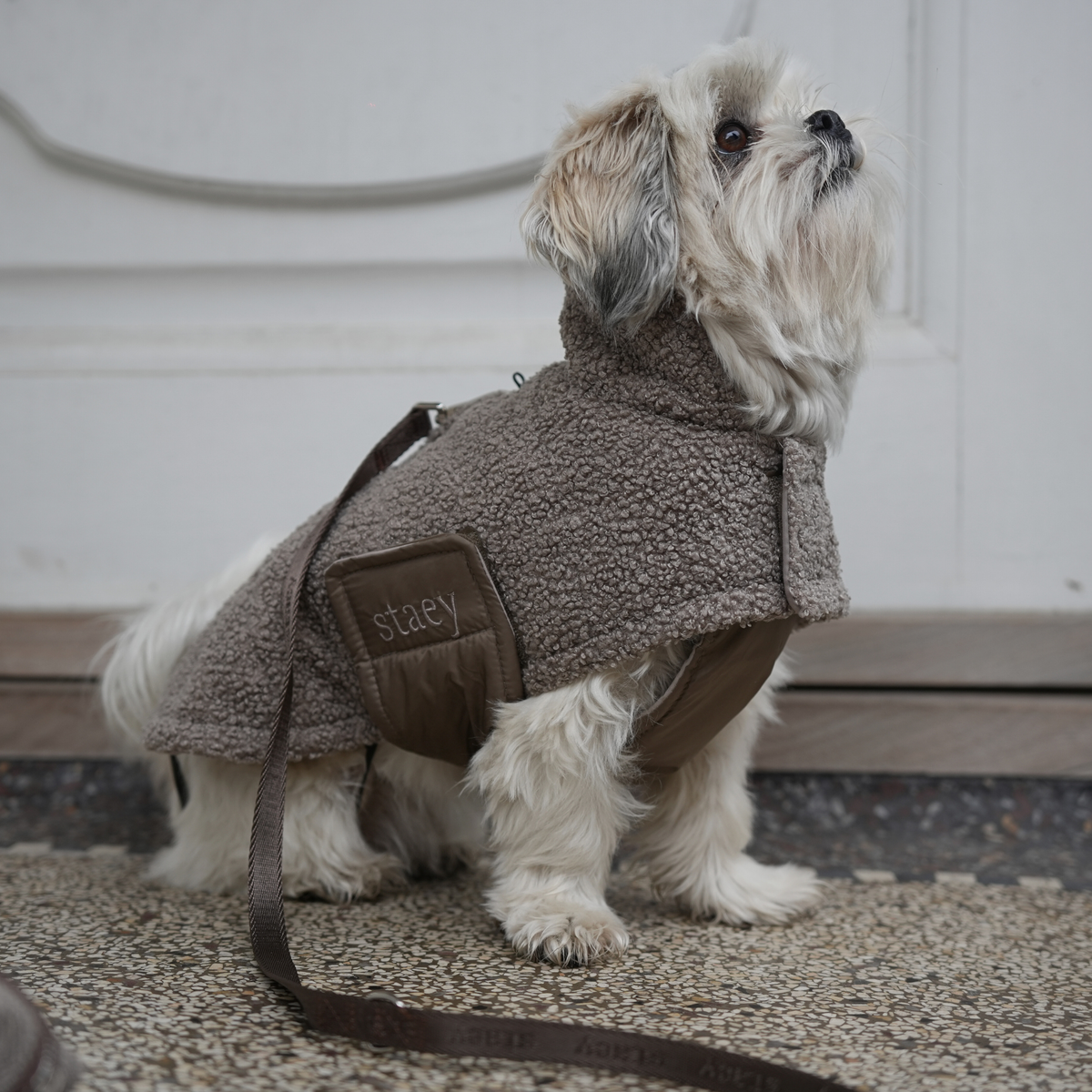 Teddy Dog Coat | Taupe: L