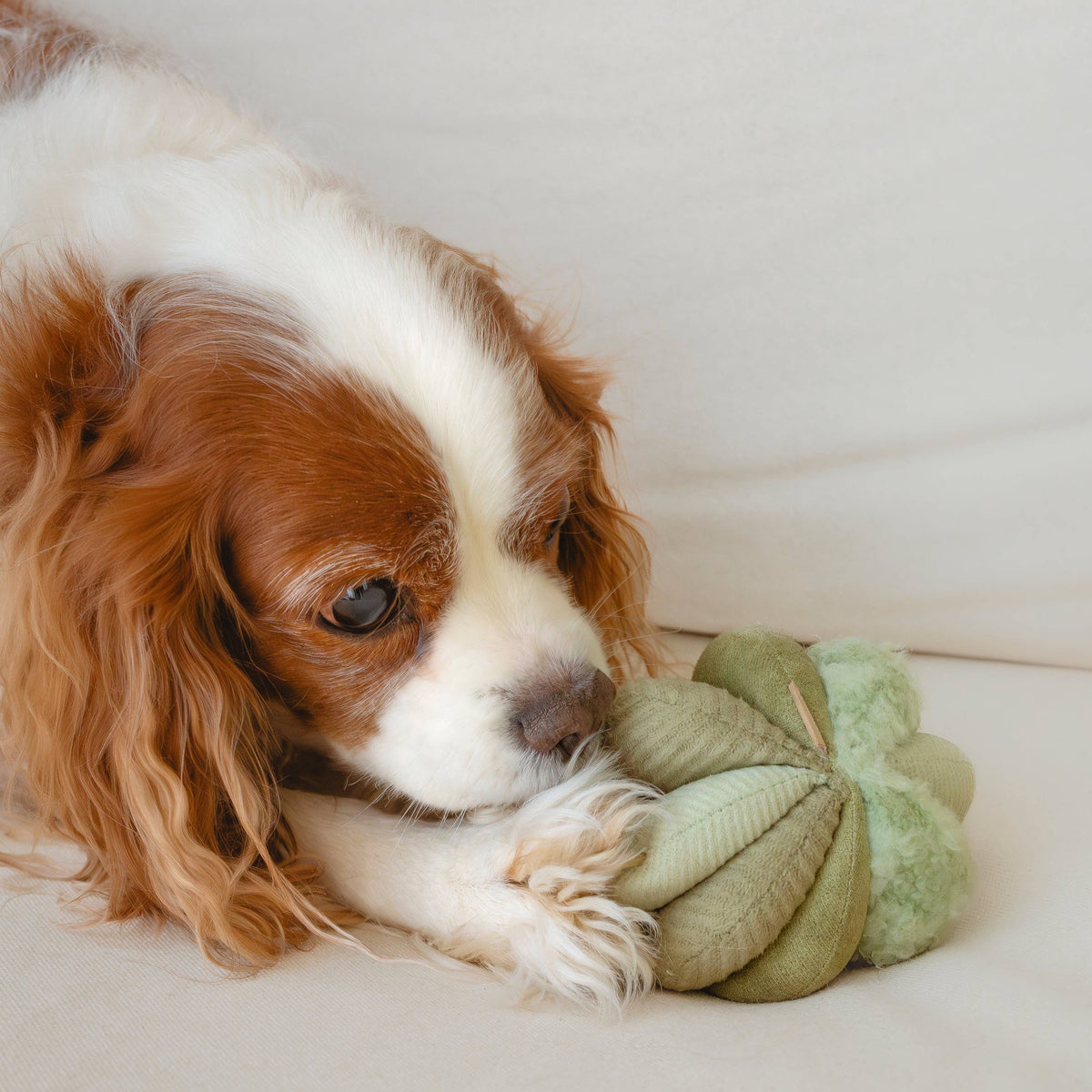 Dog Enrichment Toy TOTO Small Green – Lambwolf Collective