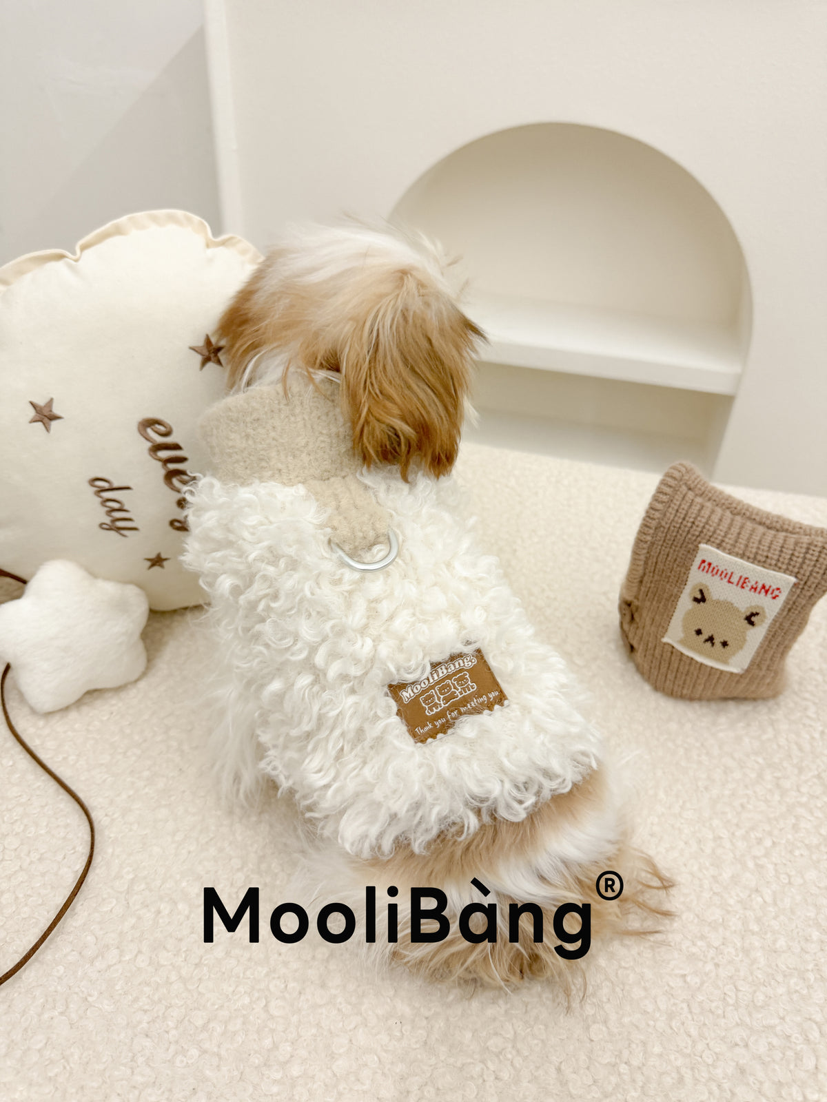 "Soft Lamb" Winter Vest for Dogs