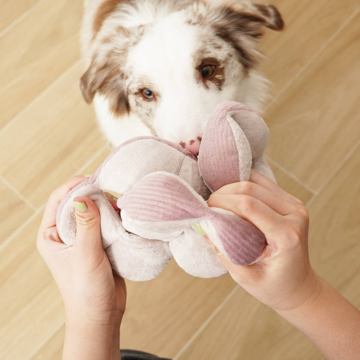 Dog Snuffle Toy MONTI Silent Purple – Lambwolf Collective