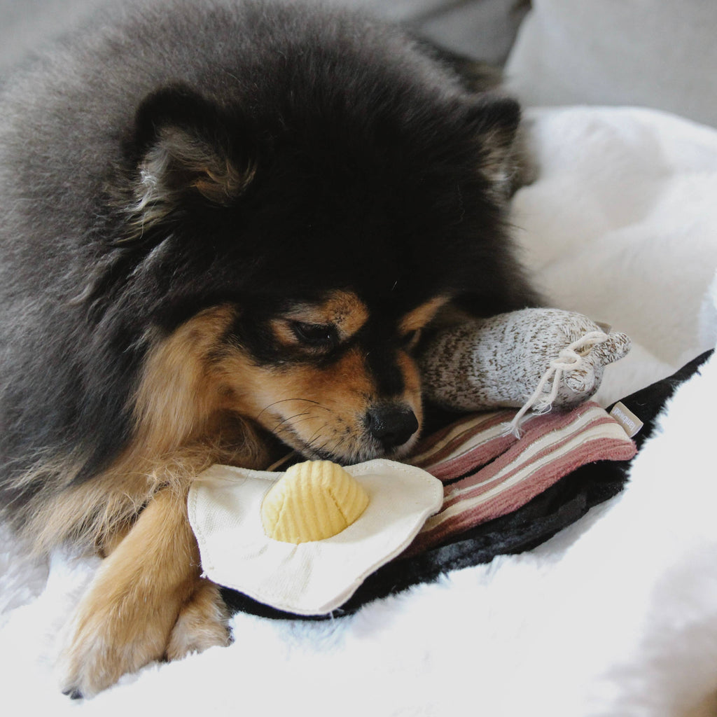 Bfast Set // ENRICHMENT DOG TOY