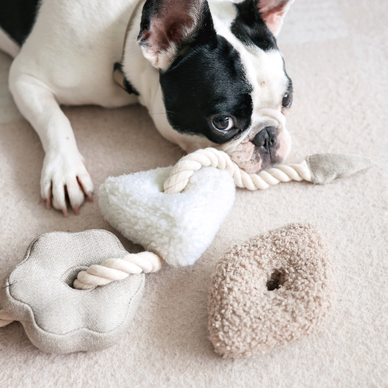 Gioco educativo per cani BLOCS – Lambwolf Collective