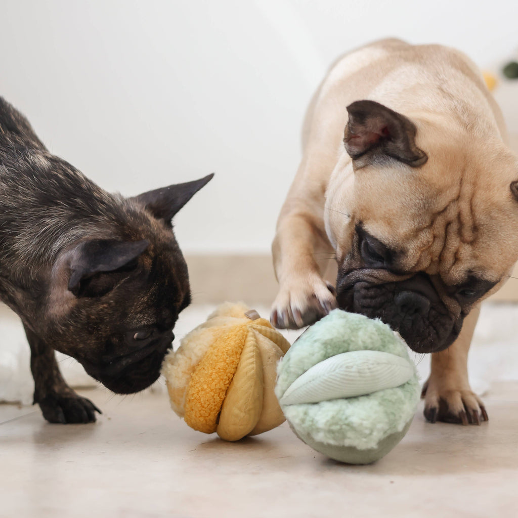 Dog Enrichment Toy TOTO Small Green – Lambwolf Collective