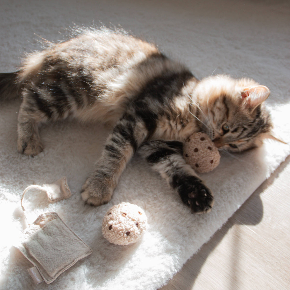 KITTEN'S TEA TIME