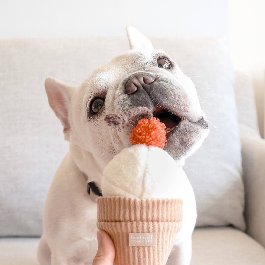 ICE CREAM POP Bereicherungsspielzeug mit Ball