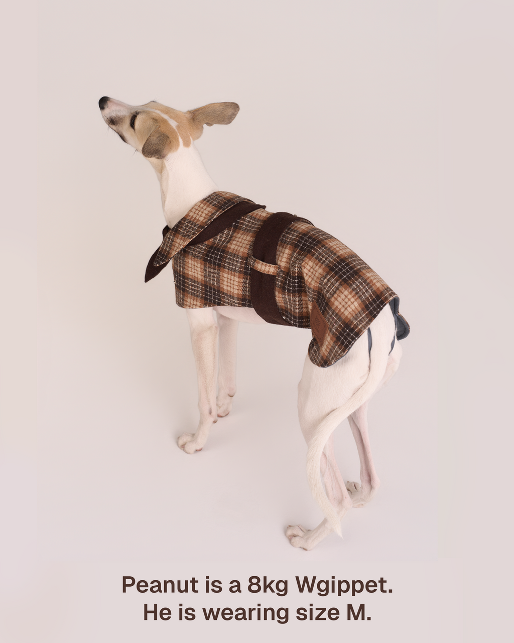 Hundemantel Sherlock