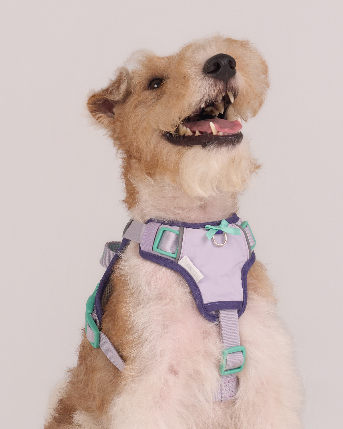 Chelsea Step-In Harness – Zumizumi
